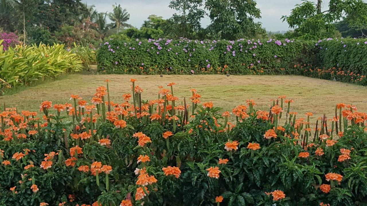 Ubud Wana Resort Luaran gambar